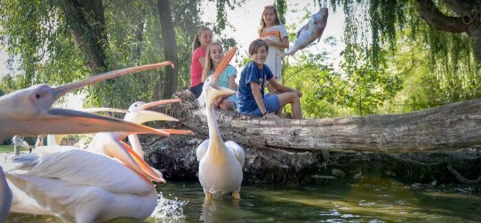 Maar liefst 25% Bol van Voordeel korting bij Vogelpark Avifauna voor een super leuk dagje uit tussen de Vogels en nog veel meer leuks!
